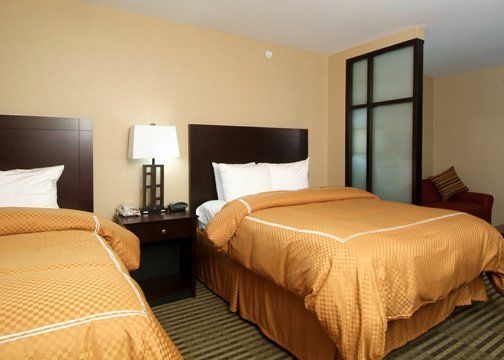 Holiday Inn Express & Suites Elkton - University Area, An Ihg Hotel Pokoj fotografie